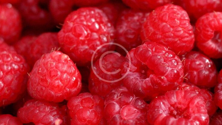 Beautiful Taste Rhapsody